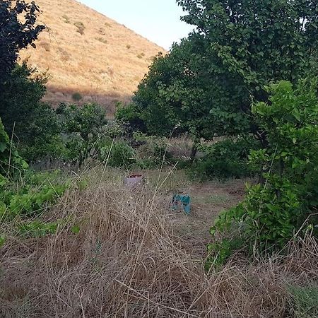 Κυθνος Δρυοπίδα, Στούντιο Χατζής Βίλα Δρυόπη Εξωτερικό φωτογραφία