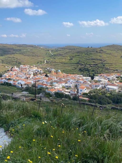 Κυθνος Δρυοπίδα, Στούντιο Χατζής Βίλα Δρυόπη Εξωτερικό φωτογραφία